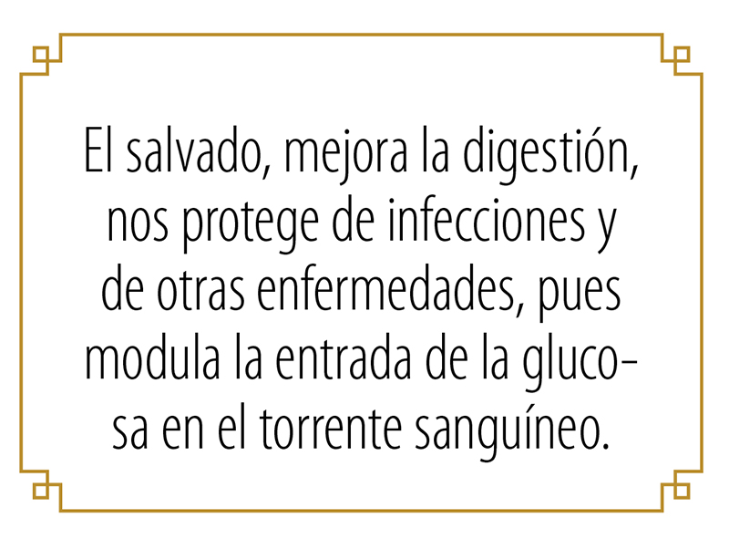 granos4