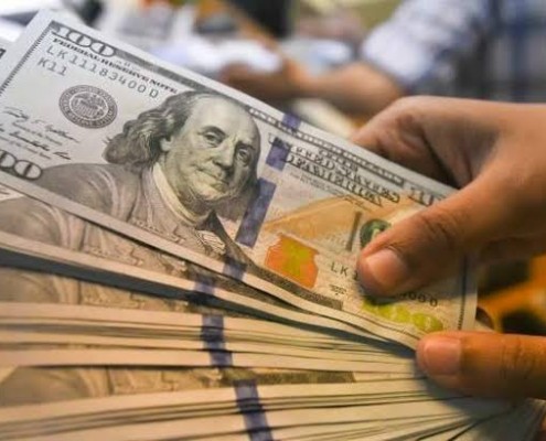 8c655e71-194c-430a-9b49-893afde3b3c8